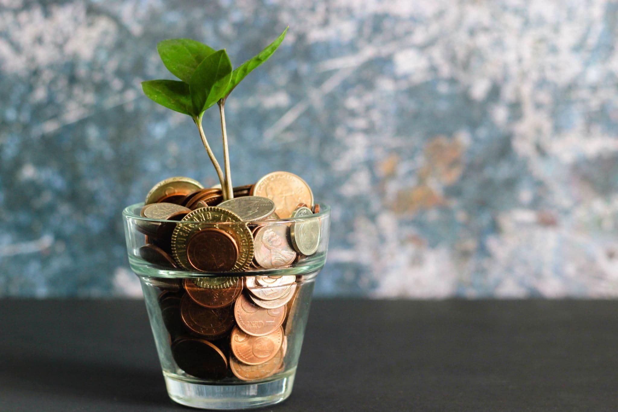 What is a Venture Capitalist?
